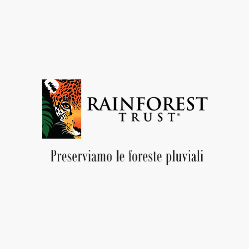 Rainforest trust